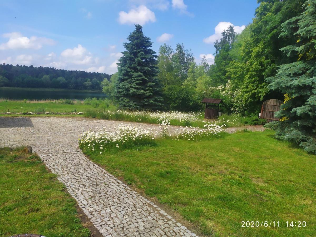 Cegielnia Holiday home Wilczyn