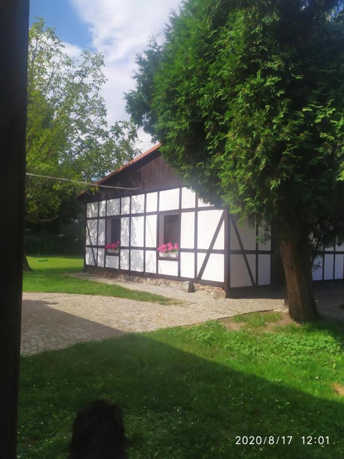 Cegielnia Holiday home Wilczyn